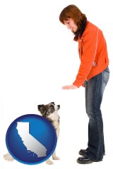 california map icon and a woman training a pet dog