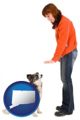 connecticut map icon and a woman training a pet dog
