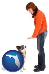 florida map icon and a woman training a pet dog