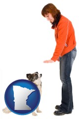 minnesota map icon and a woman training a pet dog