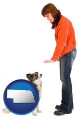 nebraska map icon and a woman training a pet dog