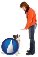 new-hampshire map icon and a woman training a pet dog