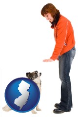new-jersey map icon and a woman training a pet dog