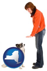 new-york map icon and a woman training a pet dog