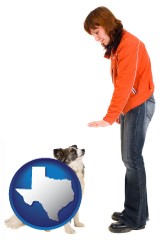 texas map icon and a woman training a pet dog