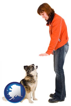 a woman training a pet dog - with Alaska icon