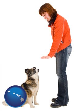 a woman training a pet dog - with Hawaii icon