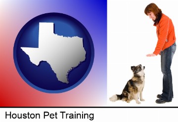 a woman training a pet dog in Houston, TX