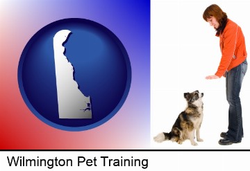 a woman training a pet dog in Wilmington, DE